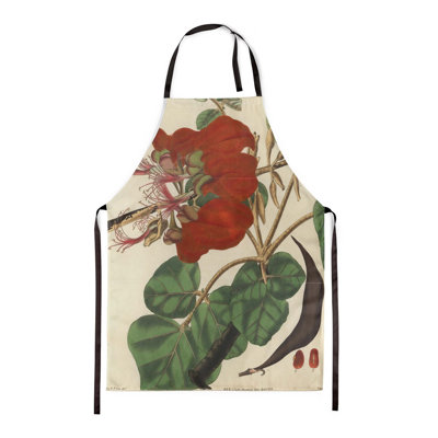Velvety Erythrina - Botanical Aprons