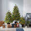 4 H Christmas Tree