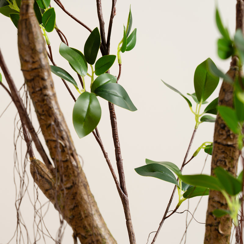 150cm FauxReal Touch Mini Ficus Tree