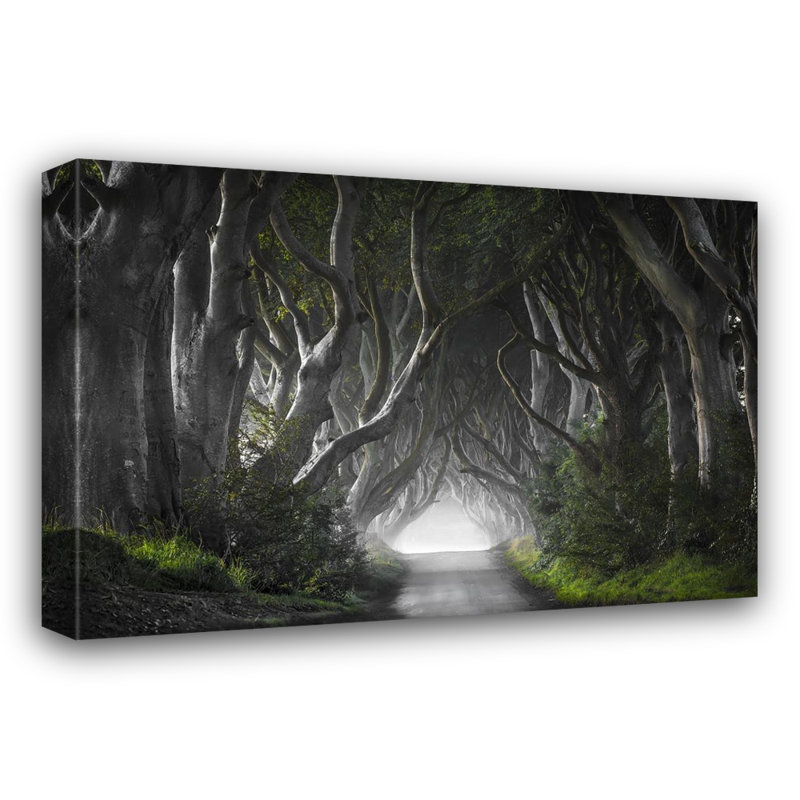 Reproduction de giclée sur toile tendue, "Dark Hedges", H 20 po x l 24 po x P 1,5 po