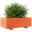 Wood Planter Box-104931173-108200272