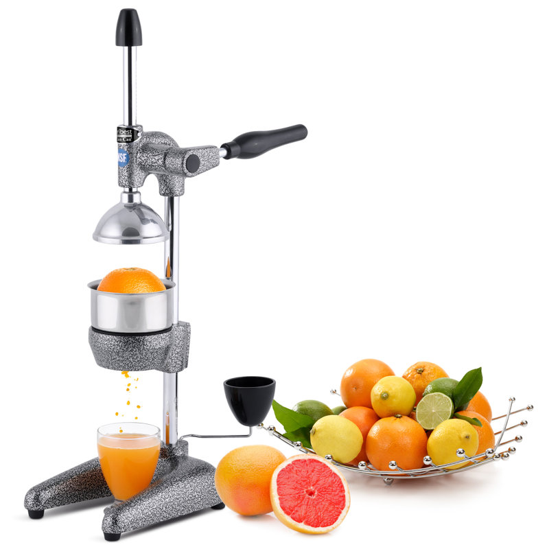 Tribest Manual Slow Masticating & Cold Press Juicer, Gray