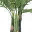 Plante de 49 po