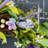 24"D Spring Lavender & Bird Nest Wreath