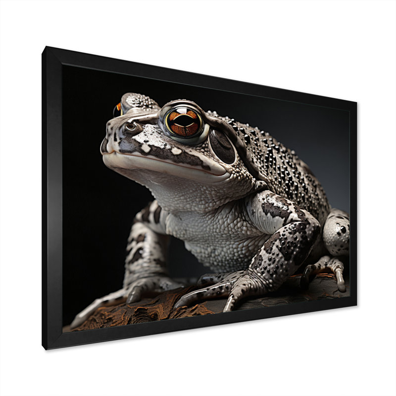 " Frog Portrait I ", 34" H x 44" W x 1.5" D, Black Single Picture Framed