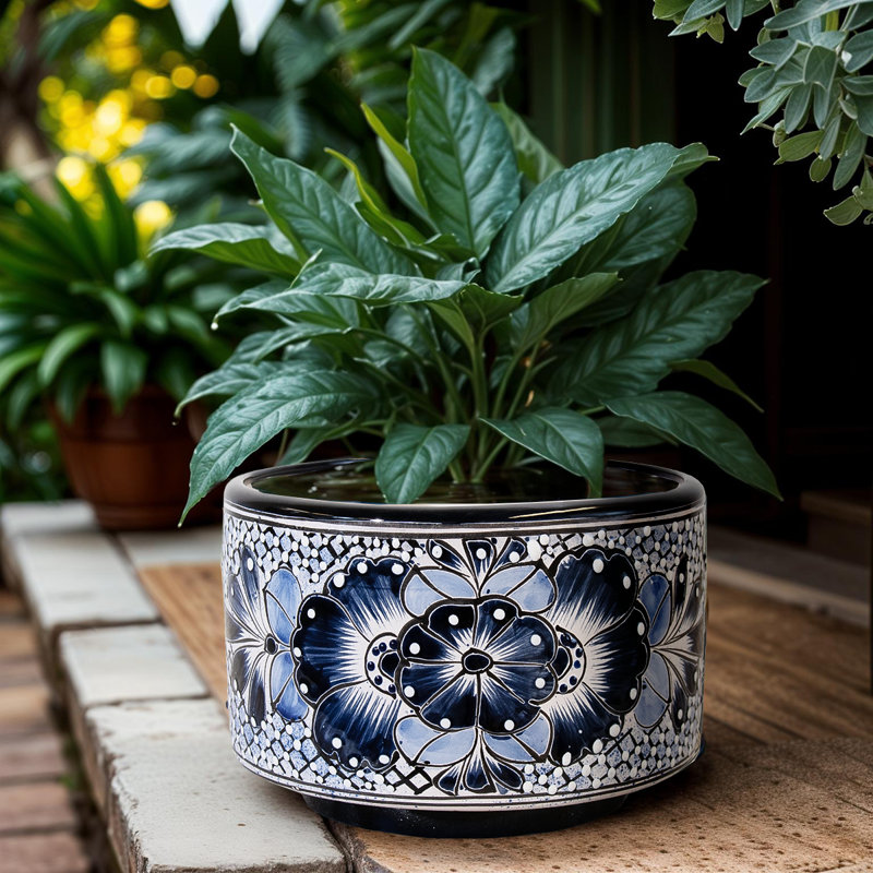 Desert Bloom Planter - Blue & White