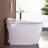 Elongated Tankless Smart Toilet with Bidet, 1.28/1.1 GPF Auto Dual Flush, Heated Seat, Warm Wash/Dryer, Digital Display, Soft-Close, Night Light, Remote Control