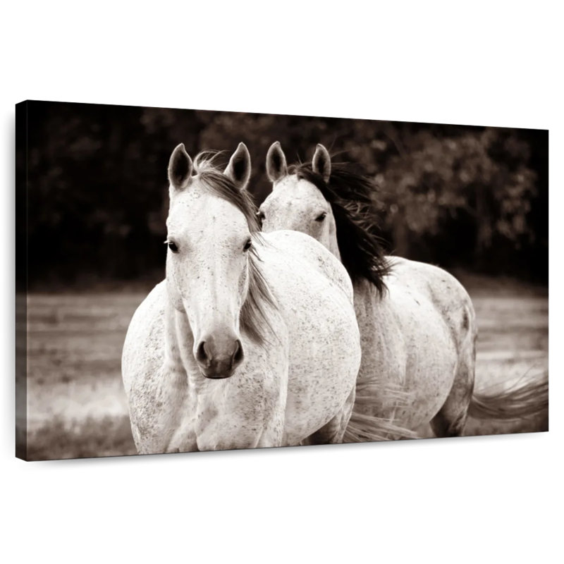 Brampt Two Wild Horse Sepia