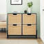 20 Pair Shoe Storage Cabinet