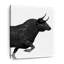 «Charging Black Bull» sur toile-1701085879