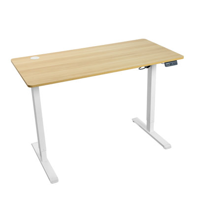 Electric Standing Desk with Tabletop