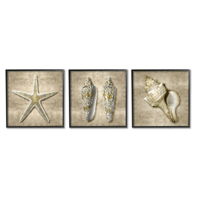 «Nautical Shells Beach Starfish Gold Brown» par Caroline Kelly - ensemble de 3 impressions