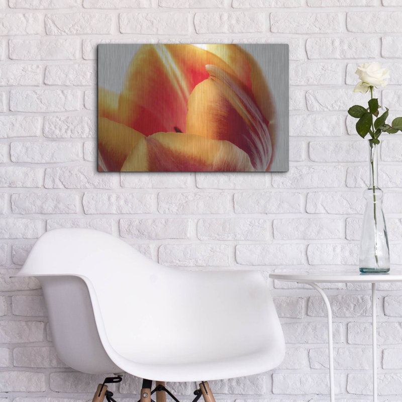 Ebern Designs «Just A Peek» par Pamela Plummer, art mural en métal, H 16 po x l 24 po