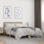 Olgun Open-Frame Bed-1246147322-1249010378