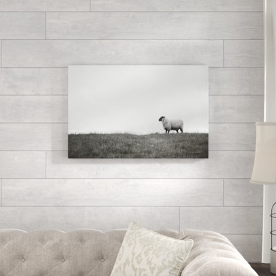 Islay Sheep II by Laura Marshall - Wrapped Canvas Print