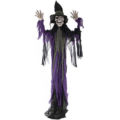 The Holiday Aisle® Skeleton Witch Prop with 6-Function Light Figurine ...
