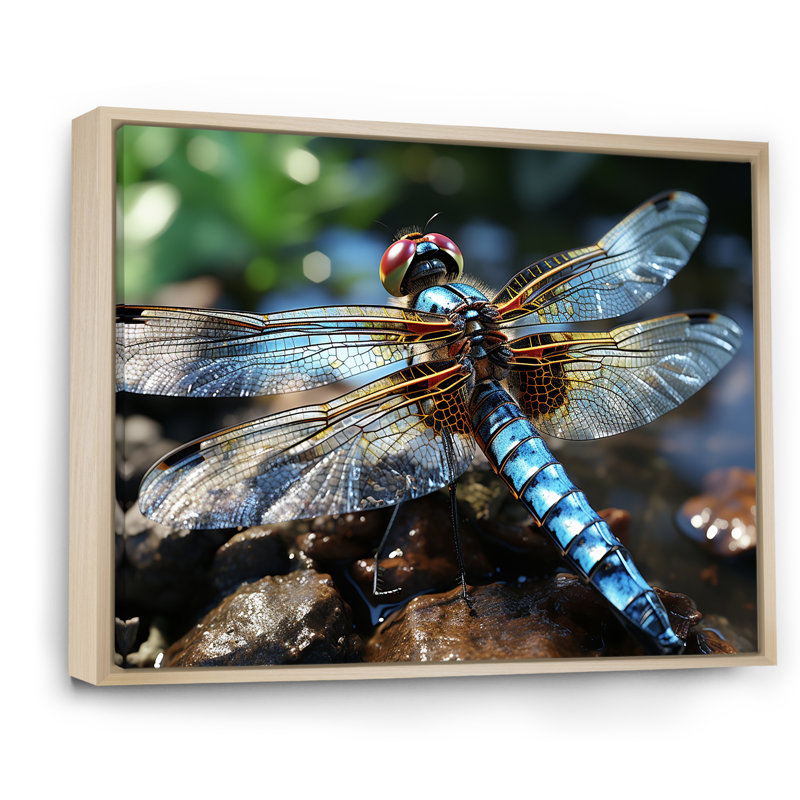 «Blue Fluttering Dragonfly I», art mural libellule, H 30 po x l 40 po x P 1,5 po, Cadre flottant brun