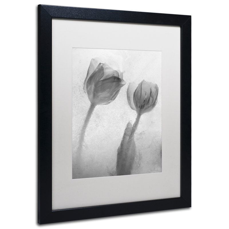 Modern & Contemporary, 20" H x 16" W x 0.5" D