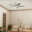 Ventilateur de plafond DEL standard à 5 pales 56 po avec télécommande et ensemble d'éclairage inclus Chilchinbito-675263254