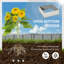 Lit de jardin surélevé en métal 3 pi x 3 pi-66338375
