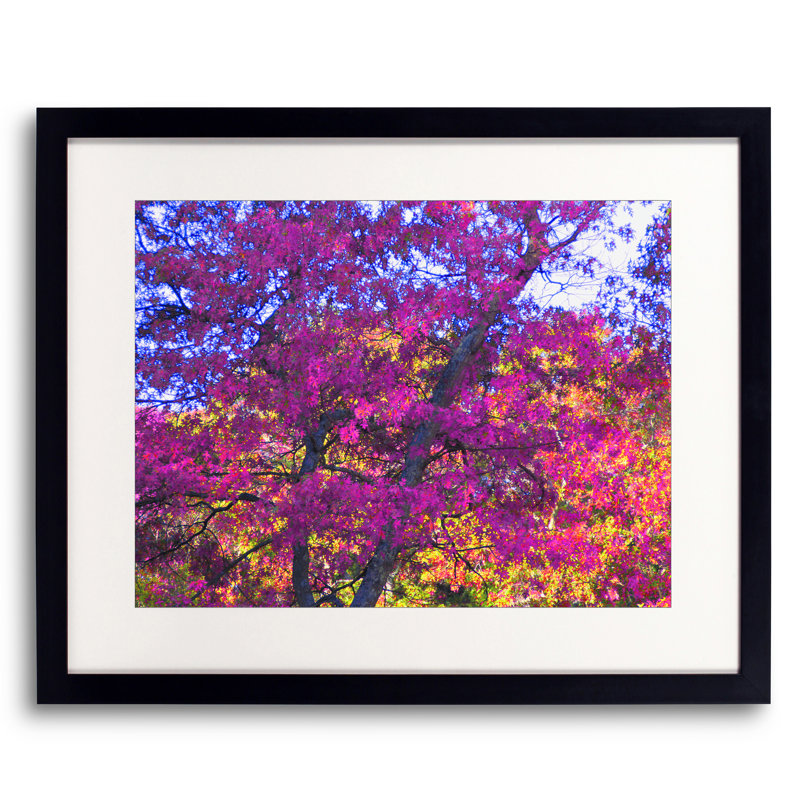 My Fall Fuchsia Print by Drew Gaffney, 24" H x 32" W