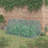 47.25' W x 47.25' D Mini Greenhouse-86475154-114479458