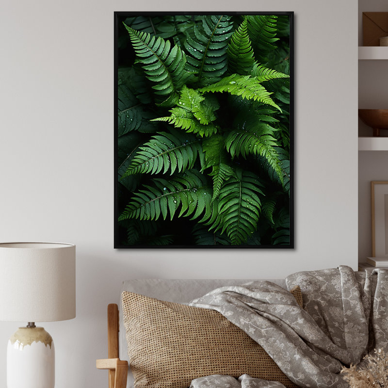 Delrico, fougères, plante, symphonie monochrome I, H 32 po x l 24 po x P 1 po, Cadre flottant noir