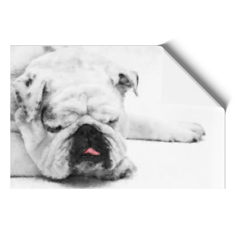 White British Bulldog Painting - Frameless Print, 21cm H x 30cm W x 0.1cm D
