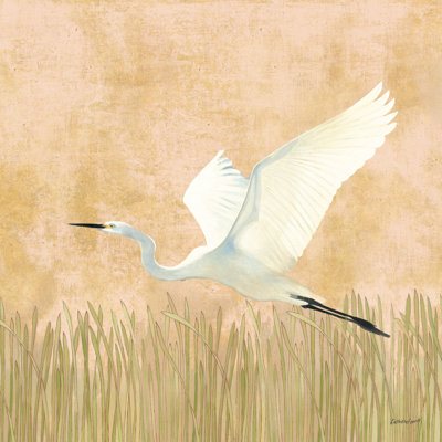 Egret Alighting II