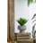 Calianna Pot Planter-1132056171