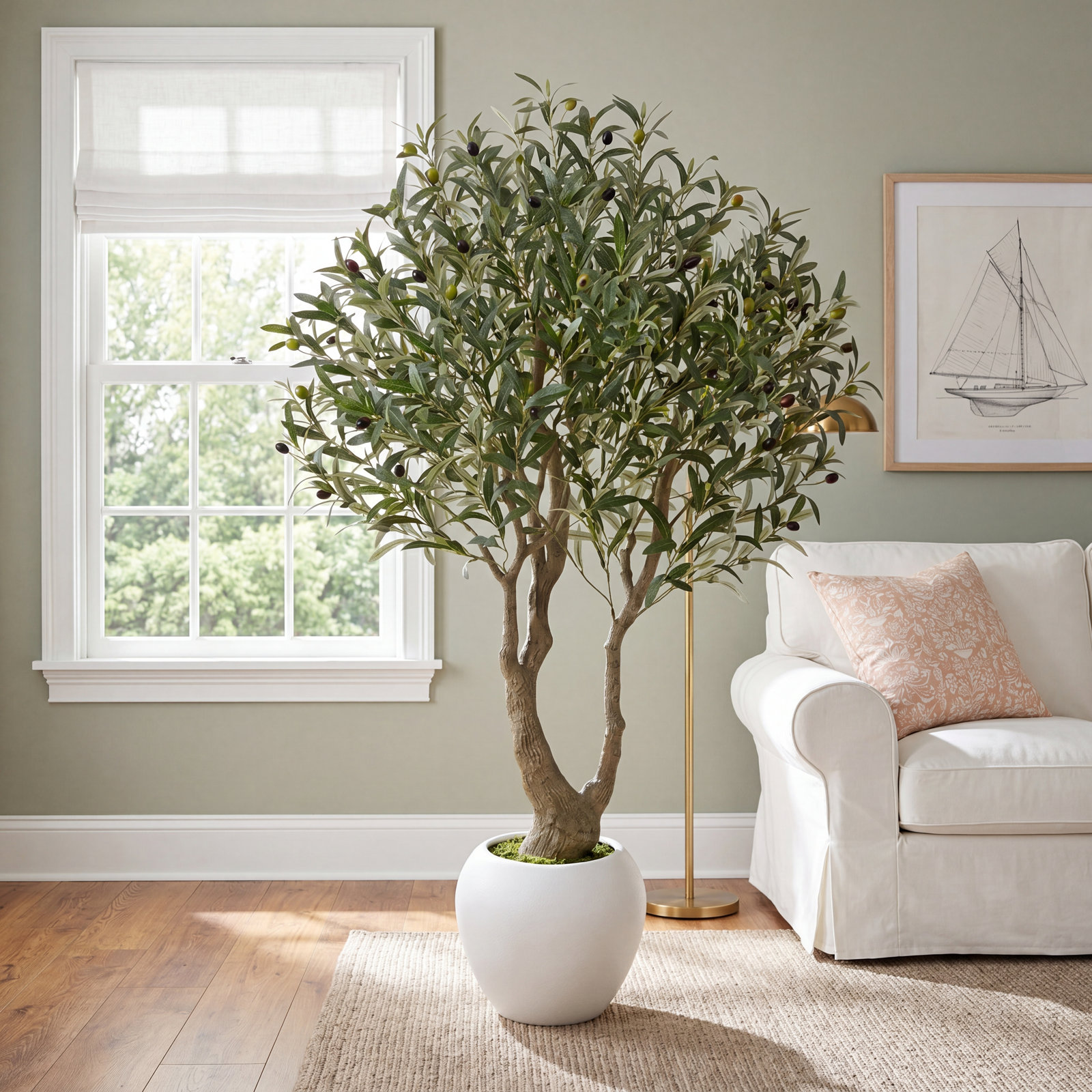 Ashwell Olive Tree in Pot, 60" H x 44" W