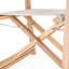 Classic Teak Outdoor Teak Dining Armchair-822471753