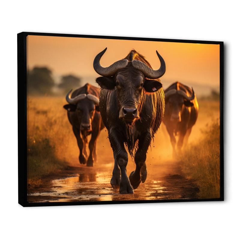 Parc national du Serengeti, Tanzanie VI, Cadre flottant noir, H 16 po x l 32 po