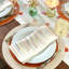Fiesta 21" Napkin