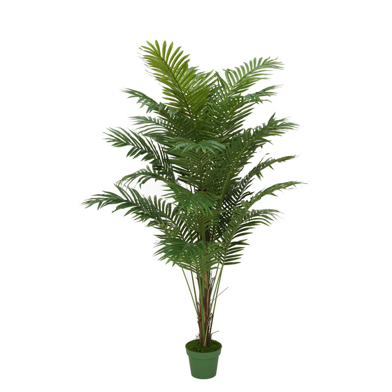 72" Tall Silk Palm Tree in Plastic Planter