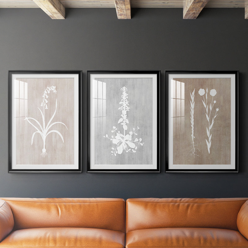 «Botany Beauty I», reproduction encadrée de qualité supérieure, prête à être accrochée, Cadre noir