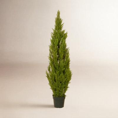 Cedar Topiary in Pot