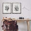 Ensemble de 2 toiles flottantes encadrées antiques-908858579-908858581