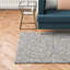 Adamell Solid Colour Shag Area Rug-7370343