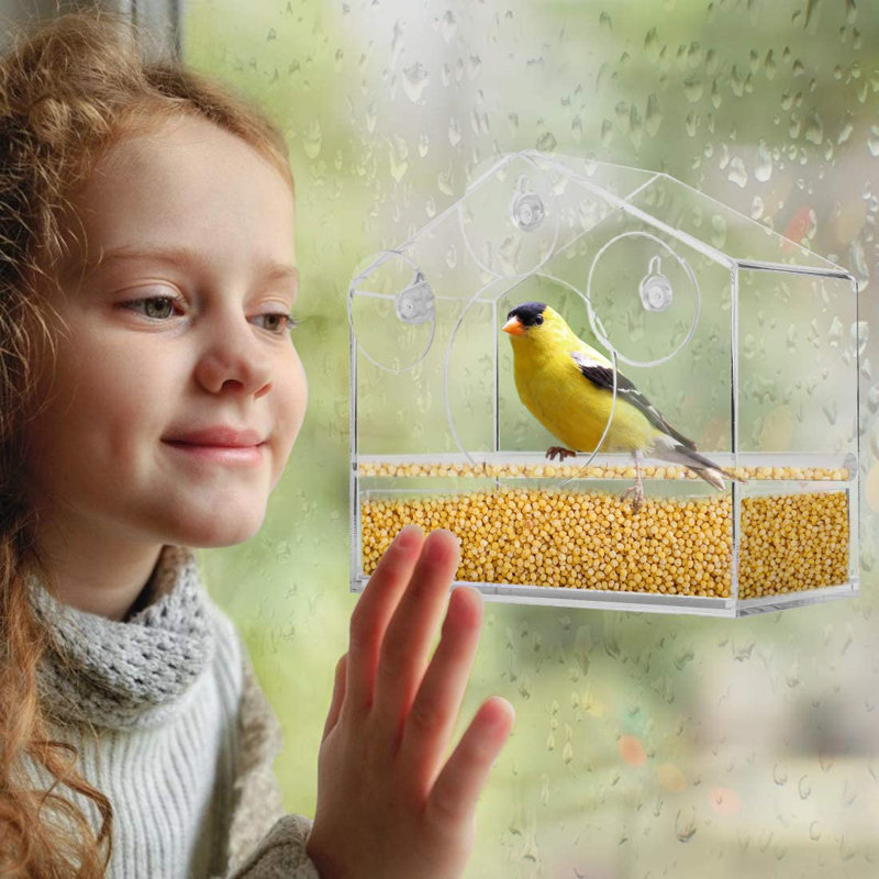 Window Decorative Bird Feeder, 5.5" H x 4" W x 7.9" D
