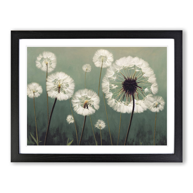 Entrancing Dandelion Flowers - Single Picture Frame Print, Black, 46cm H x 64cm W x 2cm D
