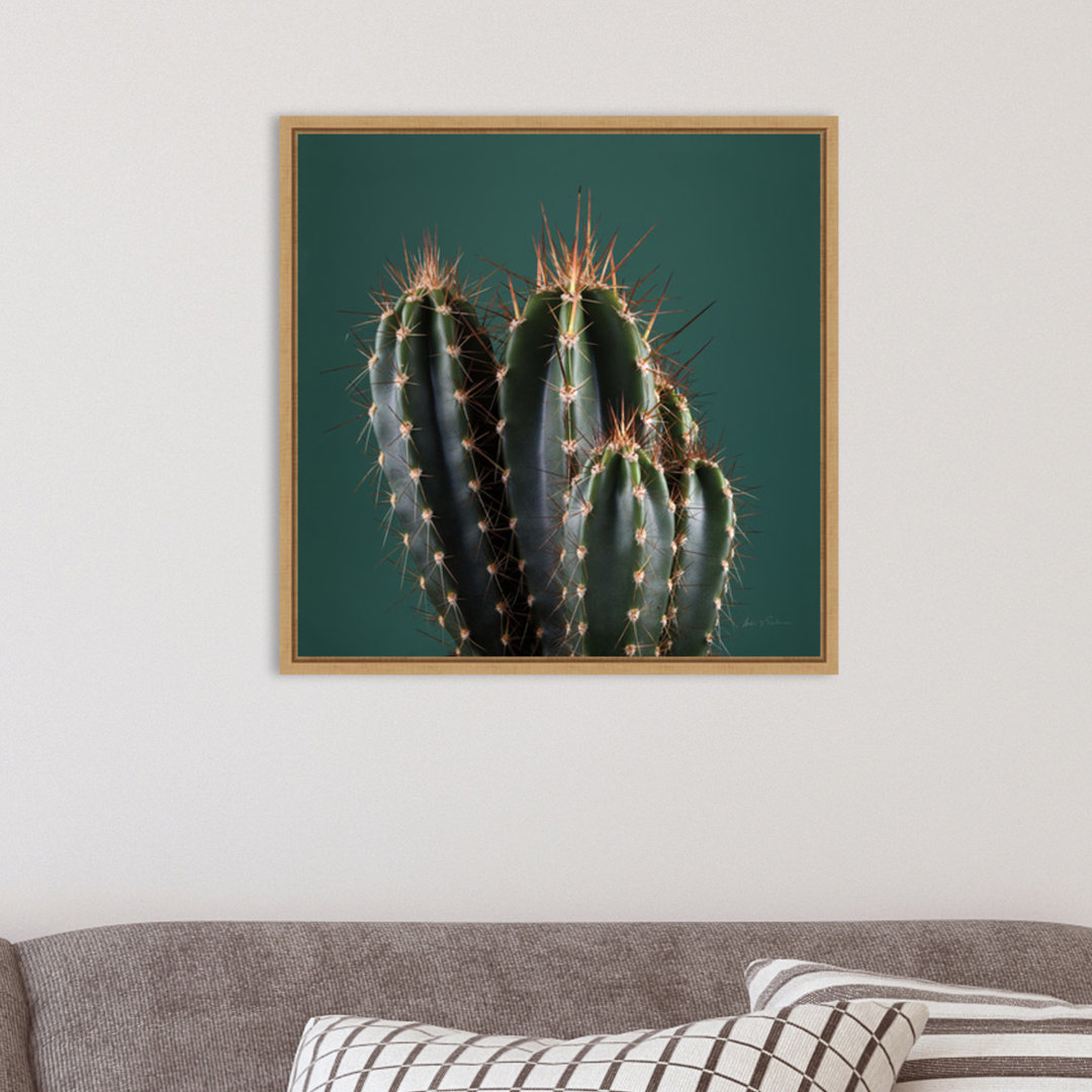 " Cactus IV " by Andre Eichman Union Rustic