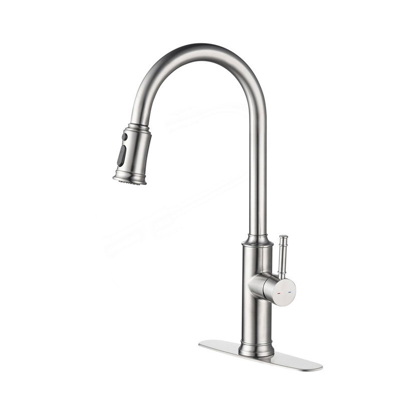 Kitchen Faucet With Pull Out Spraye