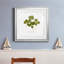 «Pressed Clover I», reproduction encadrée de qualité supérieure - prête à être accrochée-960426220-960426219