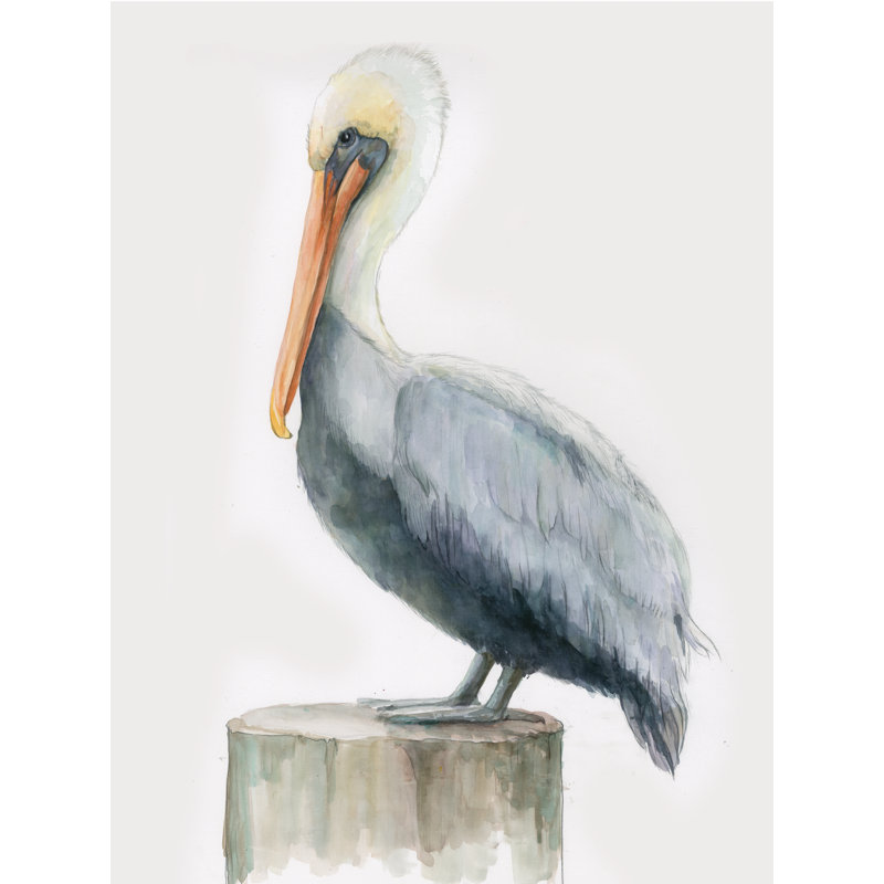 Pelican Profile - Wrapped Canvas Painting, 122cm H x 81cm W x 3.8cm D