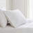 Martha Stewart Lilly Pond Leaf Embroidered Cotton Sheet Set-119136822-119136819