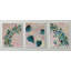 Ensemble de trois feuilles par l'artiste locale Janet Burrows-67516323-67516322
