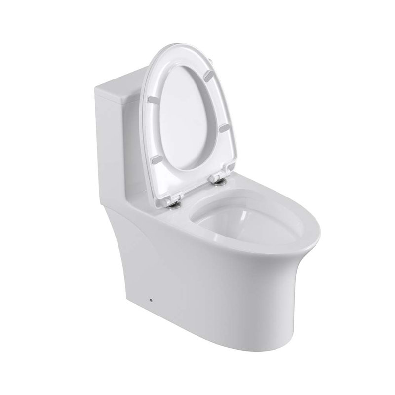 Toilette allongée une pièce 1,6 GPF Tusuton