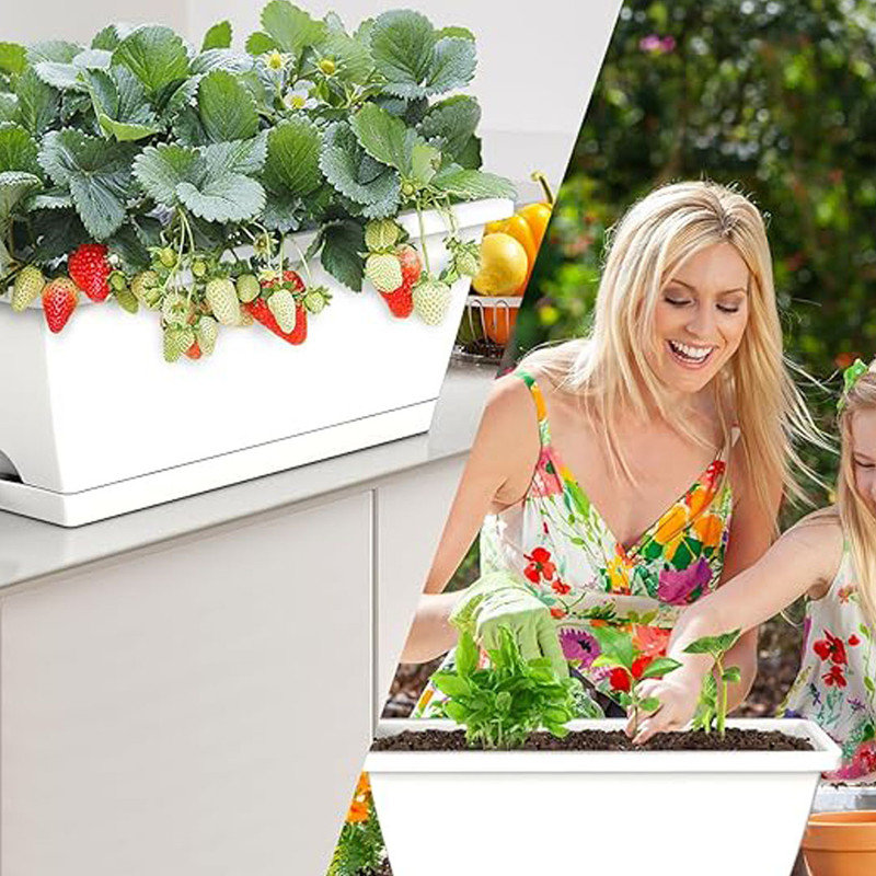 Rectangle Window Boxes Planters 8 Pcs, Plastic Rectangular Window Flower Box Indoor, Herb Pots with Drainage Holes, Dark Grey