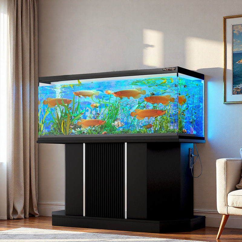Support pour aquarium moderne avec prise de courant et armoire de rangement